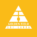 Golden Field 